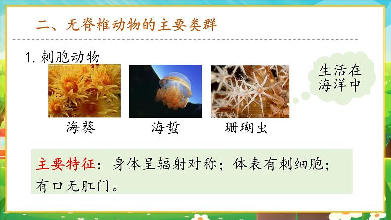 【新教材新课标】人教版生物七上2.2.1无脊椎动物 课件+教案+习题(含答案)05