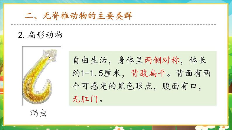 【新教材新课标】人教版生物七上2.2.1无脊椎动物 课件+教案+习题(含答案)06