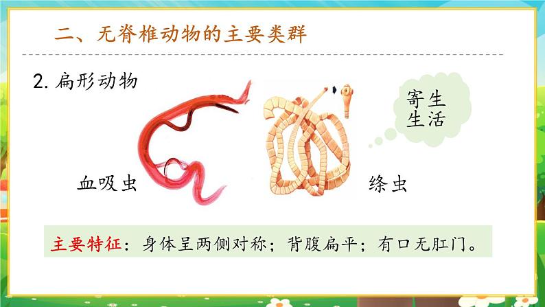 【新教材新课标】人教版生物七上2.2.1无脊椎动物 课件+教案+习题(含答案)07