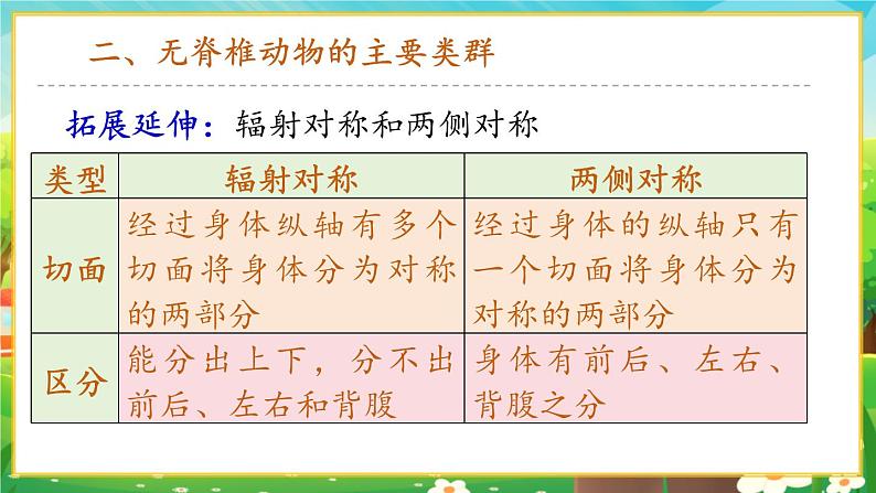 【新教材新课标】人教版生物七上2.2.1无脊椎动物 课件+教案+习题(含答案)08
