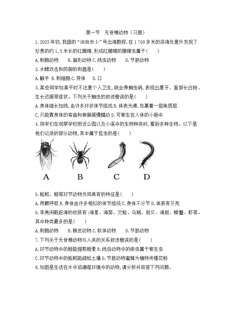 【新教材新课标】人教版生物七上2.2.1无脊椎动物 课件+教案+习题(含答案)01