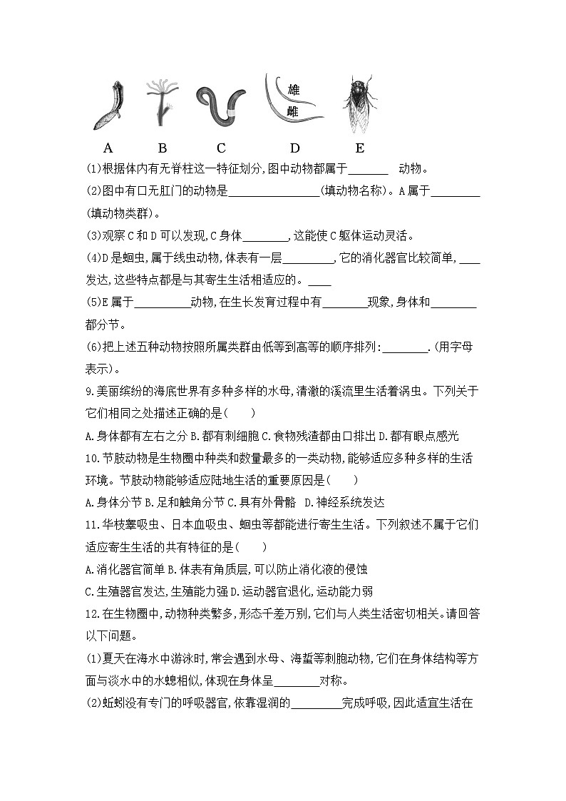 【新教材新课标】人教版生物七上2.2.1无脊椎动物 课件+教案+习题(含答案)02