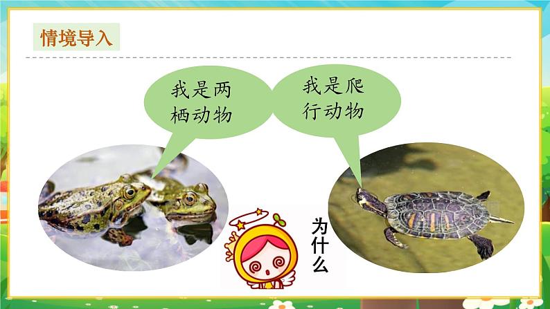 【新教材新课标】人教版生物七上2.2.2脊椎动物--两栖动物和爬行动物 课件+教案+习题 (含答案)02