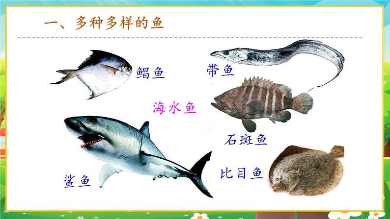 【新教材新课标】人教版生物七上2.2.2脊椎动物--鱼 课件+教案+习题(含答案)04