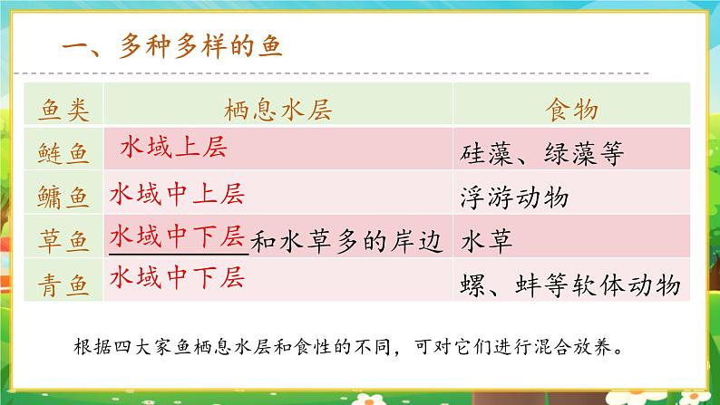 【新教材新课标】人教版生物七上2.2.2脊椎动物--鱼 课件+教案+习题(含答案)05