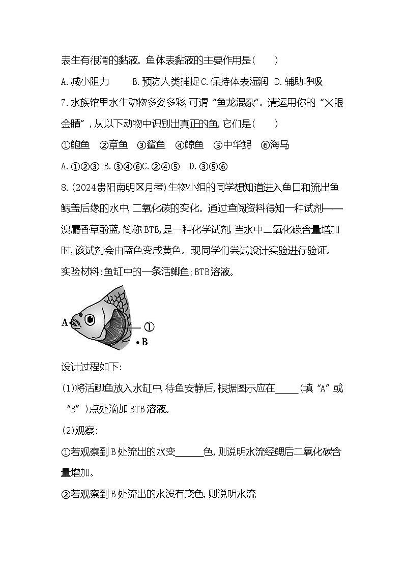 【新教材新课标】人教版生物七上2.2.2脊椎动物--鱼 课件+教案+习题(含答案)02