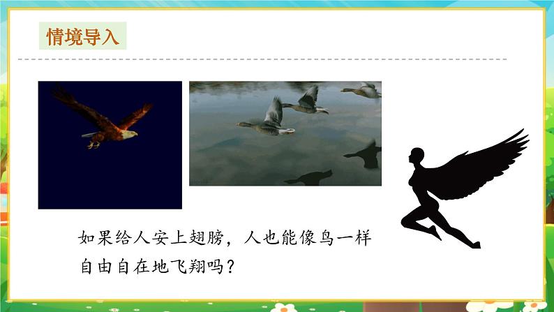 【新教材新课标】人教版生物七上2.2.2脊椎动物--鸟和哺乳动物 课件+教案+习题 (含答案)02
