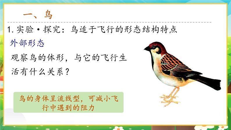 【新教材新课标】人教版生物七上2.2.2脊椎动物--鸟和哺乳动物 课件+教案+习题 (含答案)03