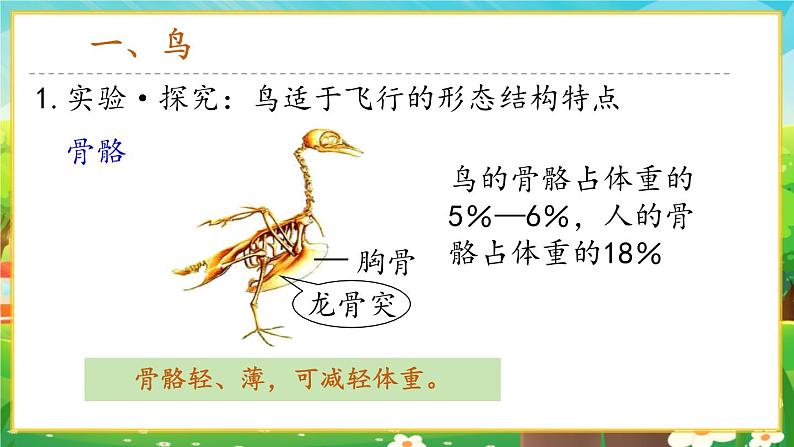 【新教材新课标】人教版生物七上2.2.2脊椎动物--鸟和哺乳动物 课件+教案+习题 (含答案)06
