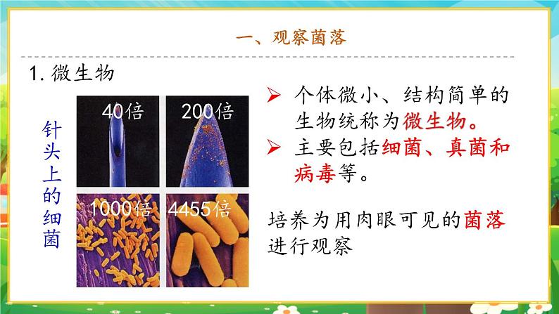 【新教材新课标】人教版生物七上2.3.1微生物的分布 课件+教案+习题 (含答案)03