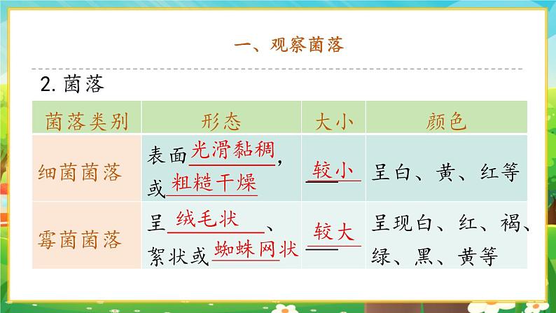 【新教材新课标】人教版生物七上2.3.1微生物的分布 课件+教案+习题 (含答案)05