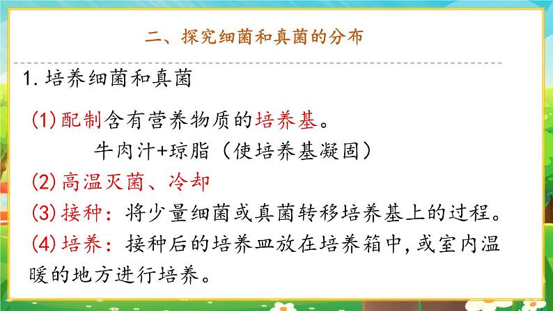 【新教材新课标】人教版生物七上2.3.1微生物的分布 课件+教案+习题 (含答案)06