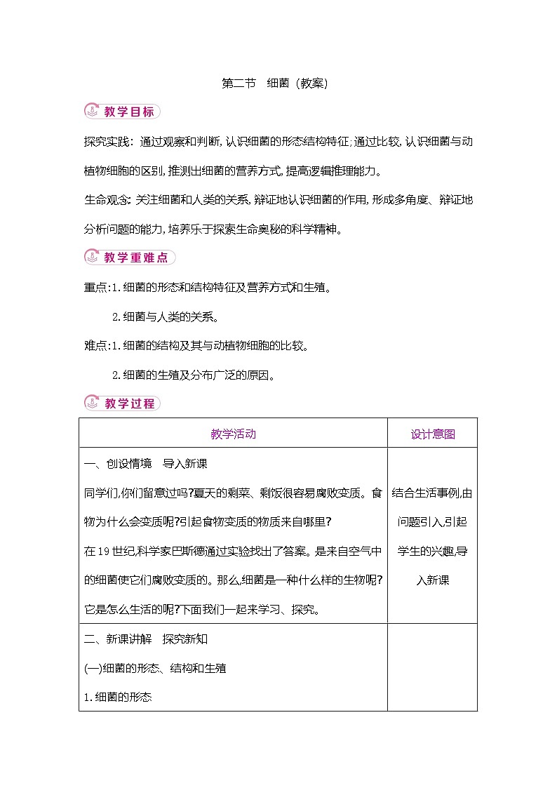 【新教材新课标】人教版生物七上2.3.2细菌 课件+教案+习题 (含答案)01
