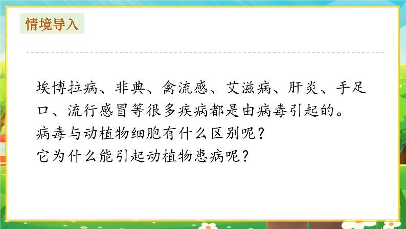 【新教材新课标】人教版生物七上2.3.4病毒 课件+教案+习题 (含答案)02