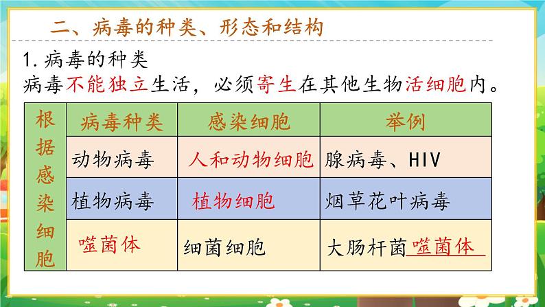 【新教材新课标】人教版生物七上2.3.4病毒 课件+教案+习题 (含答案)05