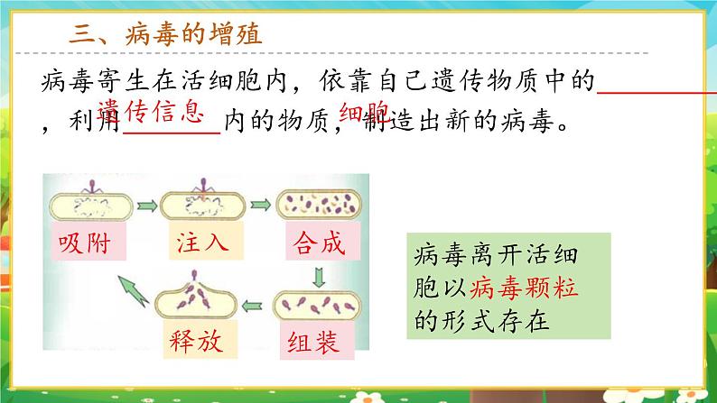 【新教材新课标】人教版生物七上2.3.4病毒 课件+教案+习题 (含答案)08