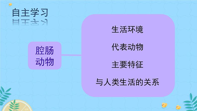 初中生物人教版八年级上册第一节 腔肠动物和扁形动物 课件04