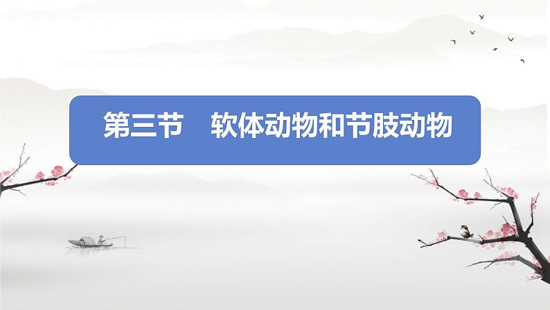 初中生物人教版八年级上册第三节 软体动物和节肢动物 课件02