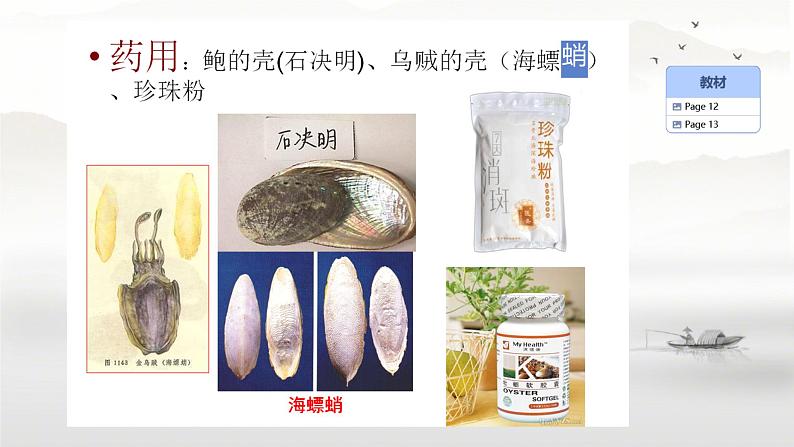 初中生物人教版八年级上册第三节 软体动物和节肢动物 课件06