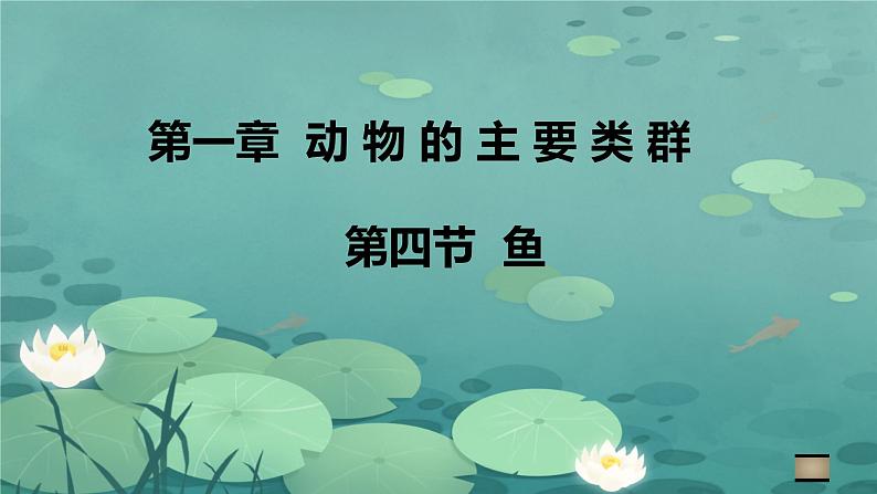 初中生物人教版八年级上册第四节 鱼 课件02
