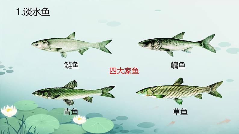 初中生物人教版八年级上册第四节 鱼 课件04