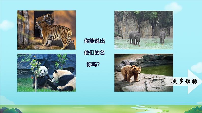 初中生物人教版八年级上册第七节 哺乳动物 课件06