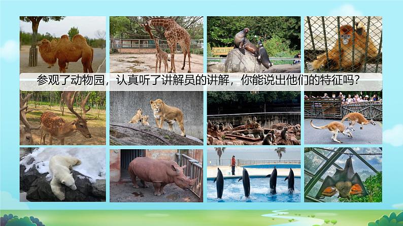 初中生物人教版八年级上册第七节 哺乳动物 课件07