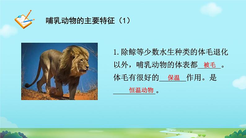 初中生物人教版八年级上册第七节 哺乳动物 课件08