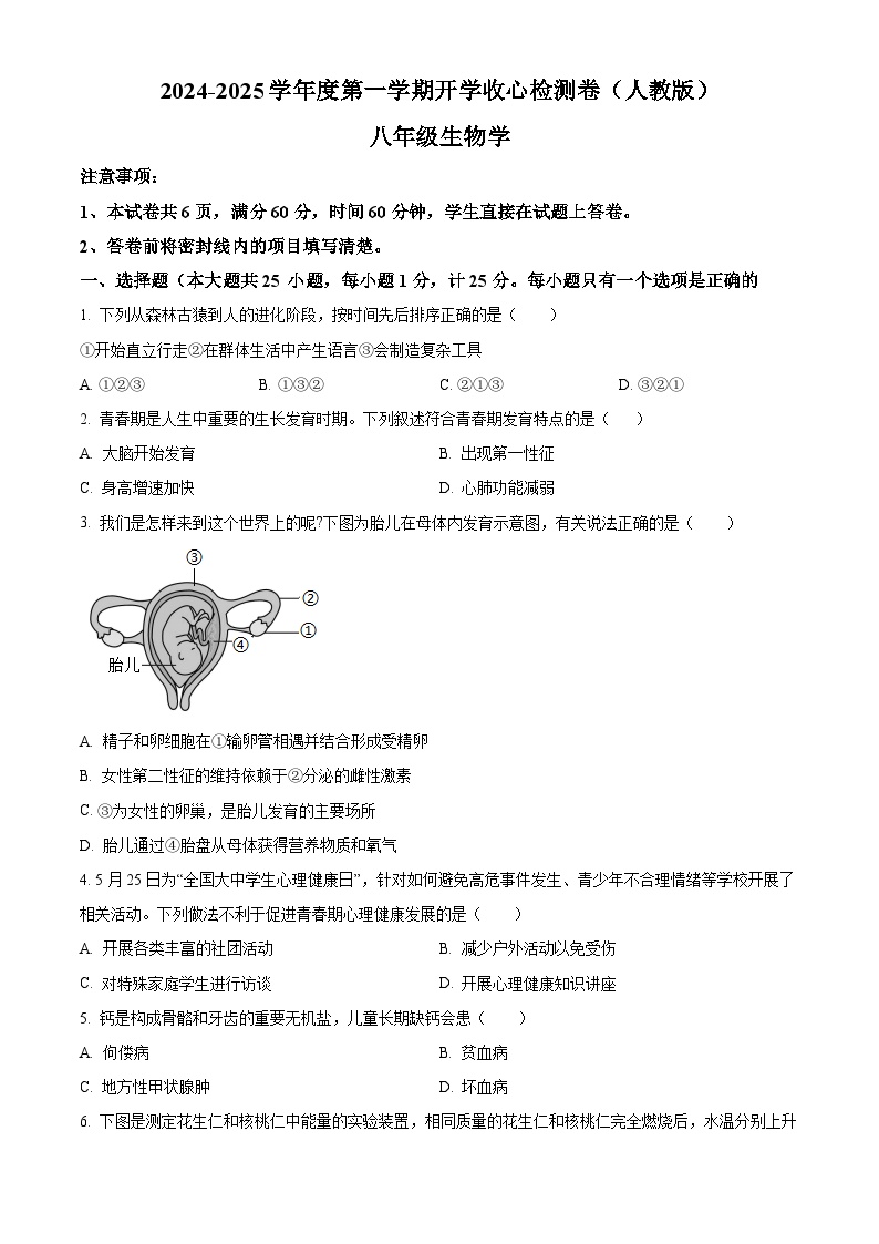 陕西省榆林市子洲县周家硷中学2024-2025学年八年级上学期开学生物试题（原卷版+解析版）