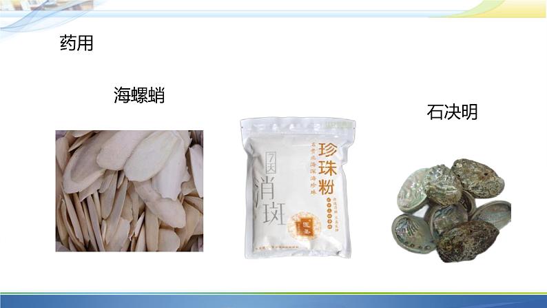 初中生物人教版八年级上册第三节 软体动物和节肢动物 课件07