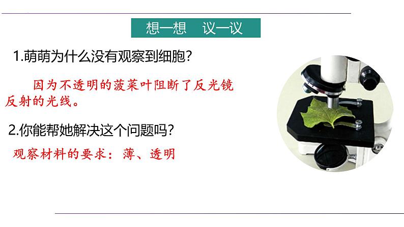 (人教版2024)七年级生物上册1.2.2《植物细胞》课件02