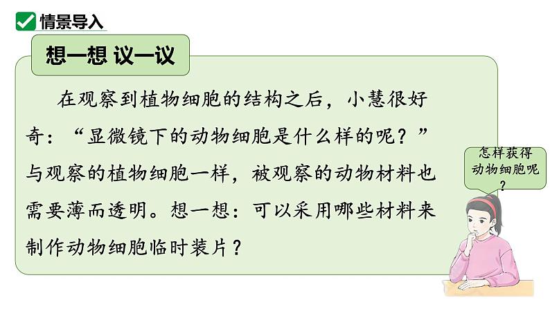 人教版生物七年级上册1.2.3《动物细胞》课件03