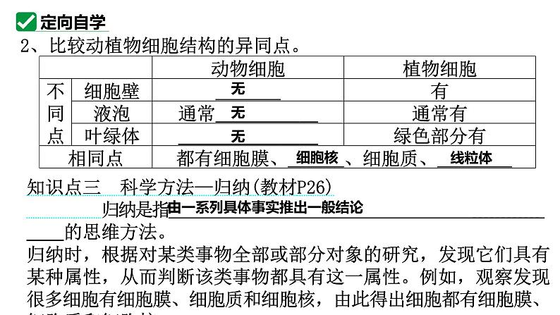 人教版生物七年级上册1.2.3《动物细胞》课件06