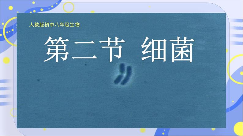 初中生物人教版八年级上册第二节 细菌 课件第1页