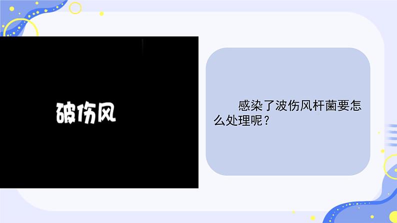 初中生物人教版八年级上册第二节 细菌 课件第3页