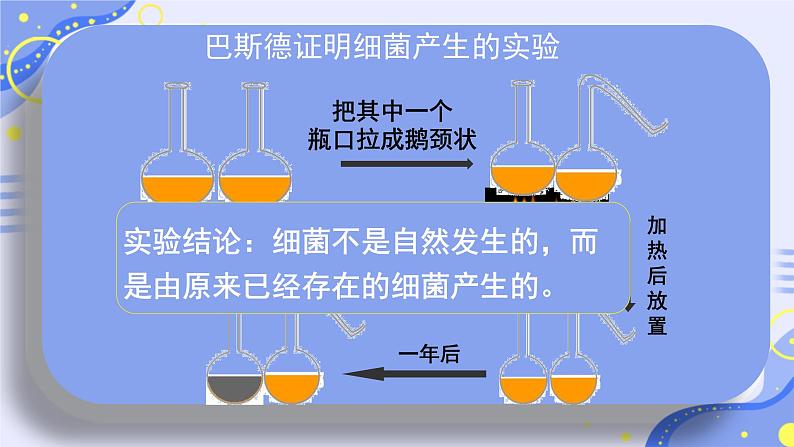 初中生物人教版八年级上册第二节 细菌 课件第5页