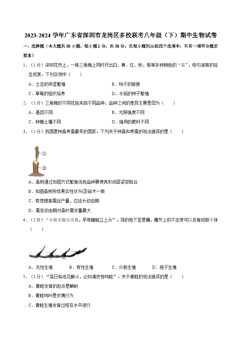 广东省深圳市龙岗区多校联考2023-2024学年八年级下学期期中生物试卷