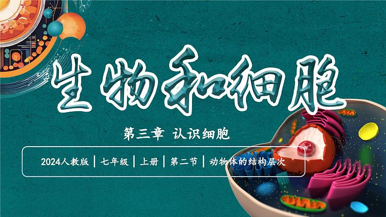 【核心素养】人教版生物七年级上册 1.3.2 动物体的结构层次(教学课件+教学设计+同步练习)01