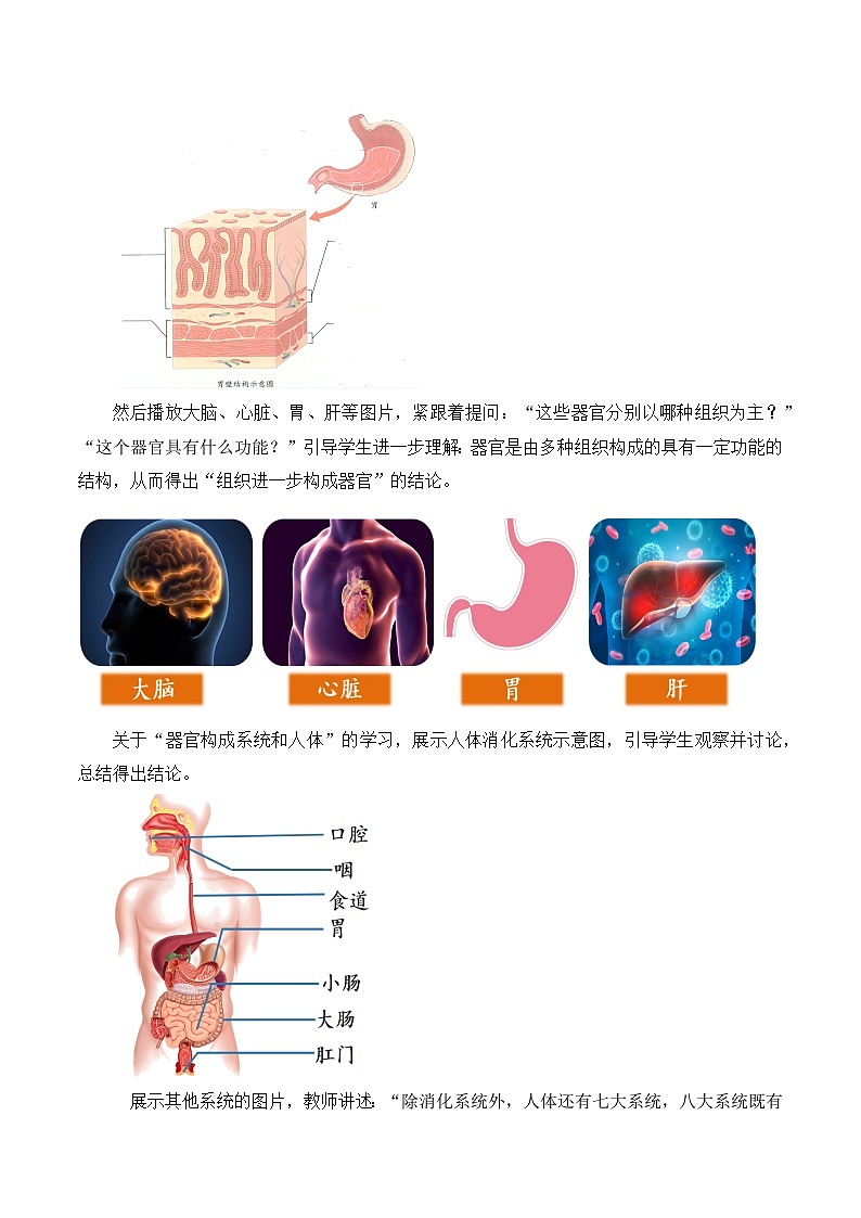 【核心素养】人教版生物七年级上册 1.3.2 动物体的结构层次(教学课件+教学设计+同步练习)03