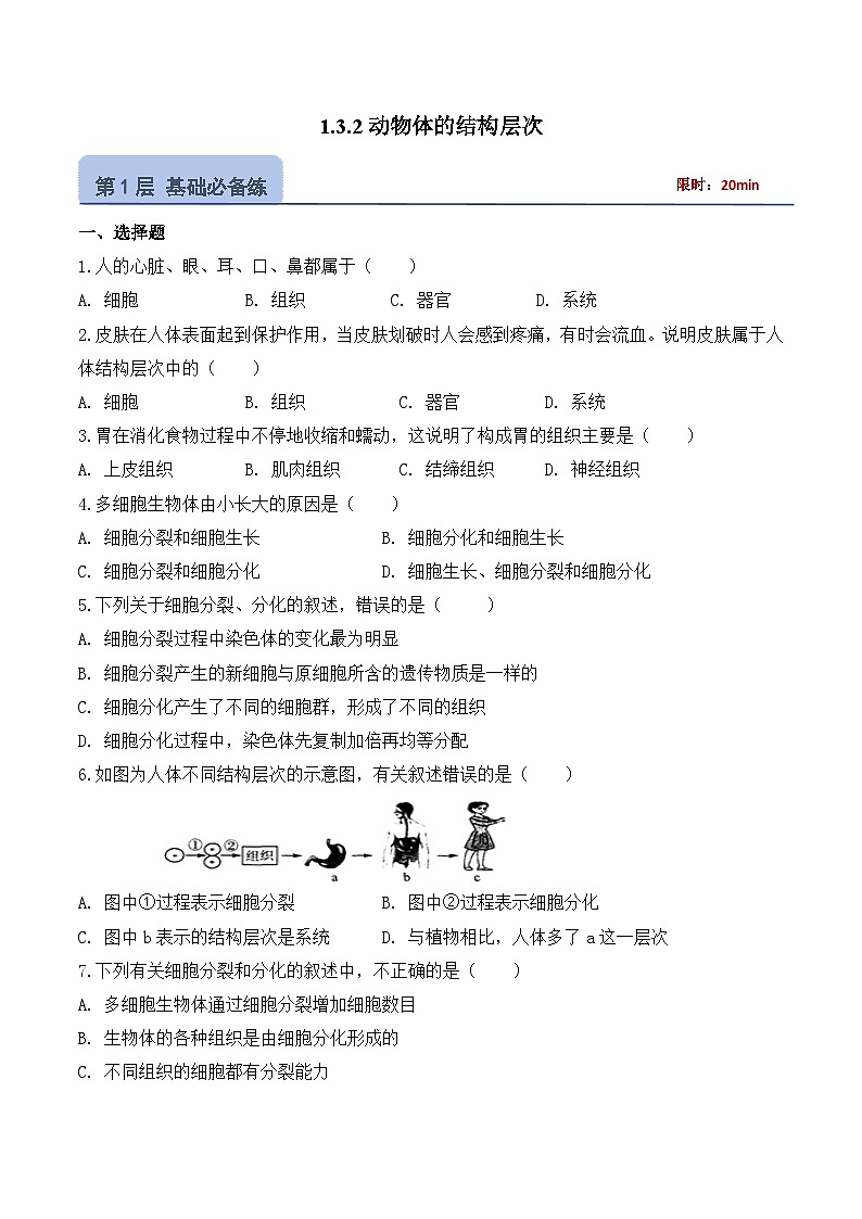 【核心素养】人教版生物七年级上册 1.3.2 动物体的结构层次(教学课件+教学设计+同步练习)01