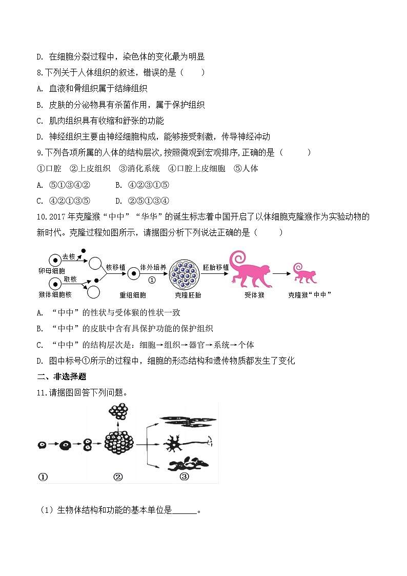 【核心素养】人教版生物七年级上册 1.3.2 动物体的结构层次(教学课件+教学设计+同步练习)02