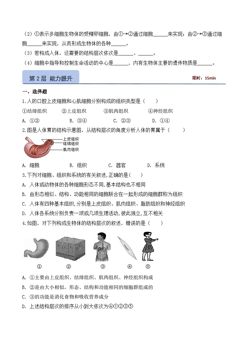 【核心素养】人教版生物七年级上册 1.3.2 动物体的结构层次(教学课件+教学设计+同步练习)03