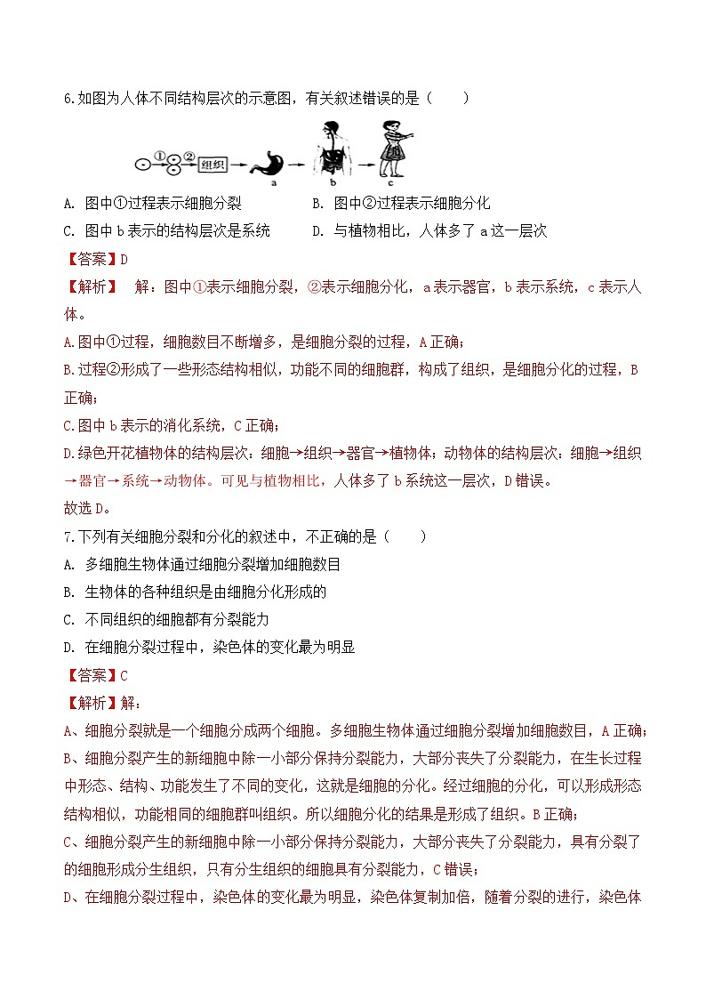 【核心素养】人教版生物七年级上册 1.3.2 动物体的结构层次(教学课件+教学设计+同步练习)03