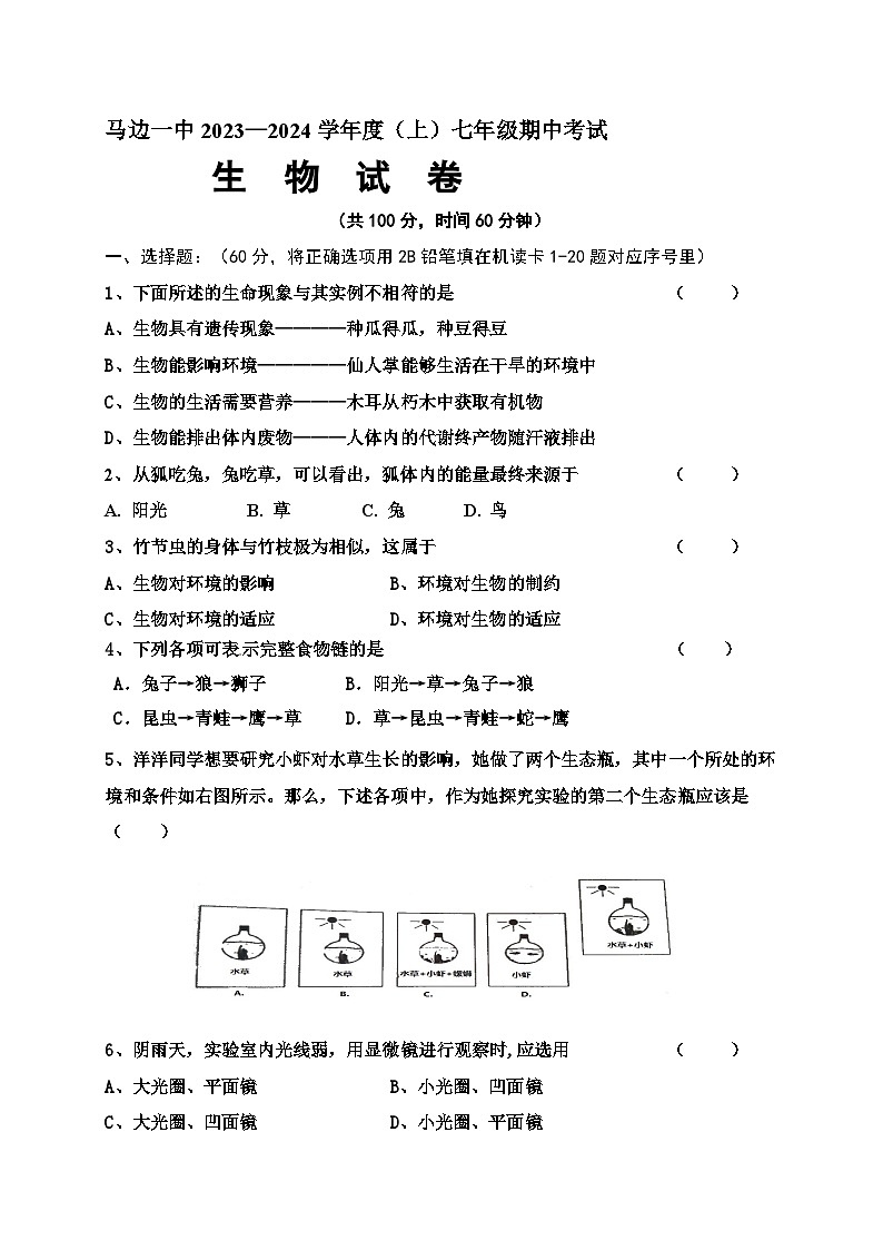 四川省乐山市马边县第一中学2023-2024学年七年级上学期期中考试生物试题01