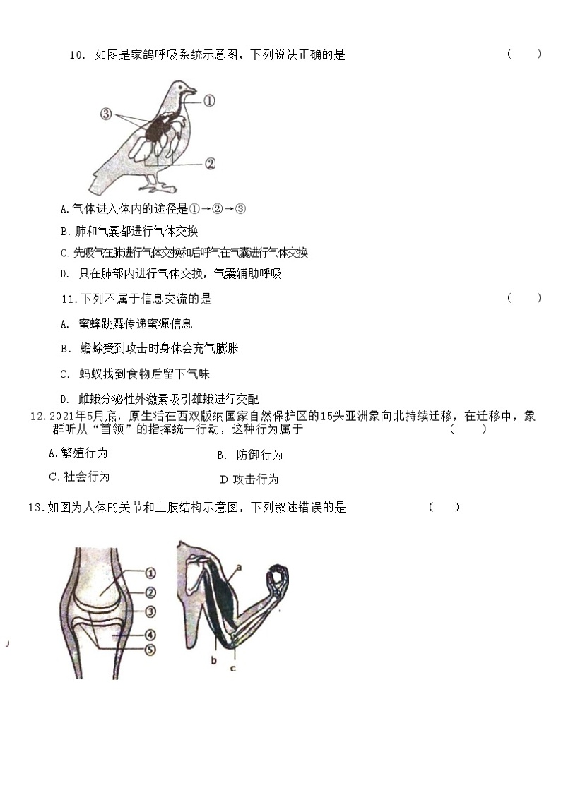 吉林省长春市第八十九中学2024-2025学年八年级上学期9月月考生物试题第2页