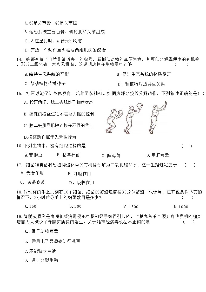 吉林省长春市第八十九中学2024-2025学年八年级上学期9月月考生物试题第3页