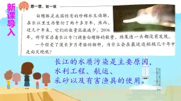 初中生物人教版八年级上册第三章 保护生物的多样性 课件