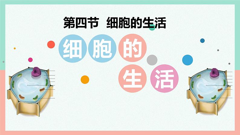 人教版生物七年级上册1.2.4《细胞的生活》课件第3页