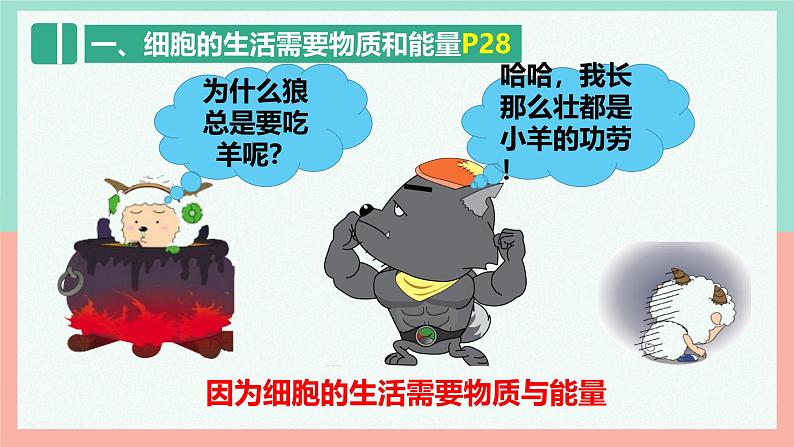 人教版生物七年级上册1.2.4《细胞的生活》课件第5页