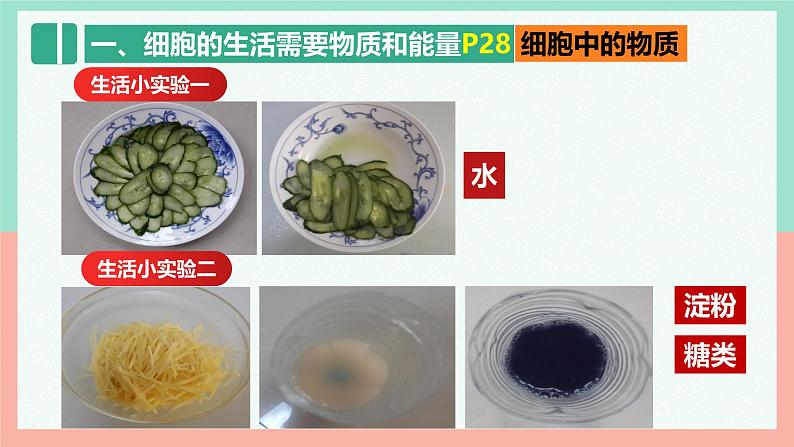 人教版生物七年级上册1.2.4《细胞的生活》课件第8页